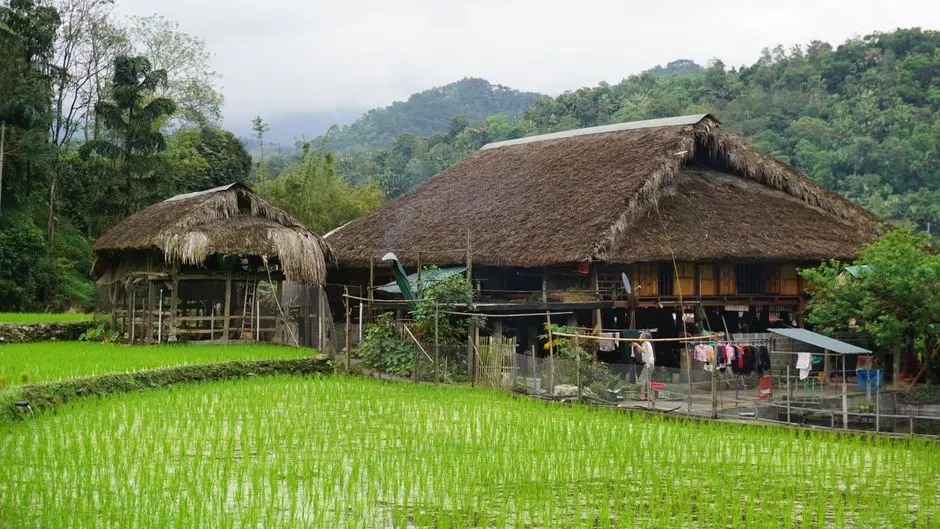 Jalan desa hijau dengan sawah dan rumah warga sebagai destinasi sederhana